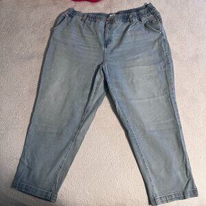 Lane Bryant Size 22 Jeans